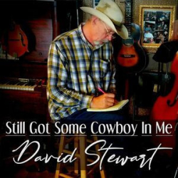 : David Stewart - Still Got Some Cowboy In Me (2022)