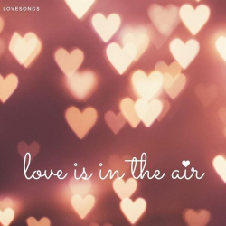 : lovesongs – love is in the air (2024)