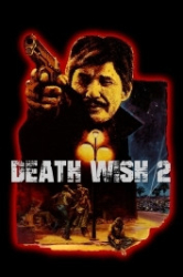 : Death Wish 2 - Der Mann ohne Gnade 1982 German 1040p AC3 microHD x264 - RAIST