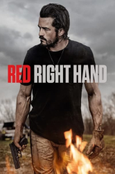 : Red Right Hand 2024 German AC3 WEBRip x265 - LDO