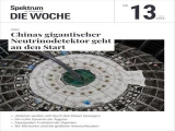 :  Spektrum der Wissenschaft Die Woche Magazin No 13 2024