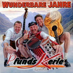 : Pfunds-Kerle - Wunderbare Jahre (2024) mp3/Flac