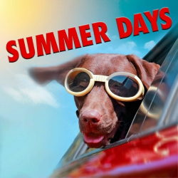 : Summer Days Soundtrack (2024)