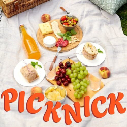 : Picknick (2024)