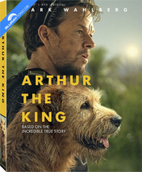 : Arthur the King 2024 German AC3 MD WEBRip x264 - LDO