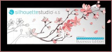 : Silhouette Studio Business Edition v4.5.791
