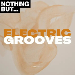 : Nothing But... Electric Grooves Vol. 13 (2024)
