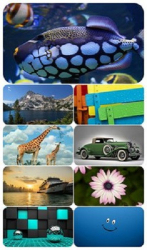 : Beautiful Mixed Wallpapers Pack 600
