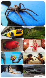 : Beautiful Mixed Wallpapers Pack 610