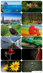 : Beautiful Mixed Wallpapers Pack 619