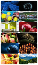 : Beautiful Mixed Wallpapers Pack 629