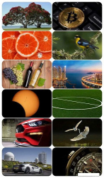 : Beautiful Mixed Wallpapers Pack 710