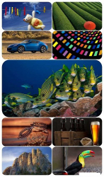 : Beautiful Mixed Wallpapers Pack 714
