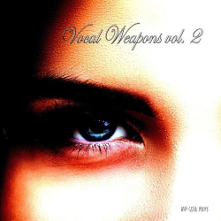: Vocal Weapons, Vol. 2 (Compiled & Mixed by Disco Van) (2018)