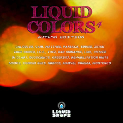 : Liquid Colors 4 (2018)