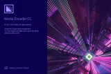 : Adobe Media Encoder CC 2019 v13.0.0 x64