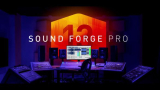 : Magix Sound Forge Pro v13.0.0.96[