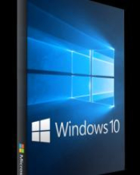 Cover: Windows 10 Home-Pro & Enterprise 19H1 v1903 + Office 2019 : Windows 10 Home-Pro & Enterprise 19H1 v1903 + Office 2019