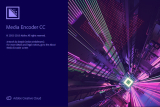 : Adobe Media Encoder CC 2019 v.13.1.5.35