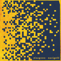 : Pinegrove - Marigold (2020)