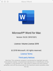 : Microsoft Word 2019 For Mac v16.33