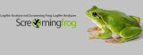 : Screaming Frog Log File Analyser v4.0