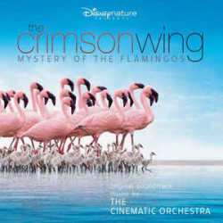 : The Cinematic Orchestra - FLAC-Discography 1999-2019 - UL
