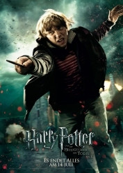 : Harry Potter und die Heiligtümer des Todes - Teil 2 2011 German 800p AC3 microHD x264 - RAIST
