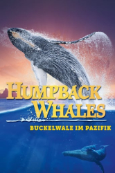 : Humpback Whales Buckelwale im Pazifik 2015 German DTSHD DL 2160p UHD BluRay HDR HEVC Remux-NIMA4K