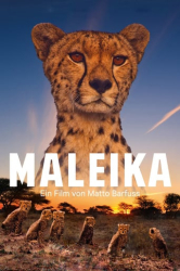 : Maleika 2017 German TrueHD Atmos 2160p UHD BluRay SDR HEVC Remux-NIMA4K