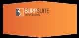 : Burp Suite Professional 2020.4 Build 2226