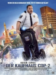 : Der Kaufhaus Cop 2 2015 German 1040p AC3 microHD x264 - RAIST