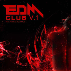 : EDM Club Vol 1 (2020)