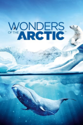 : Wonders of the Arctic 2014 German DTSHD DL 2160p UHD BluRay HDR HEVC Remux-NIMA4K