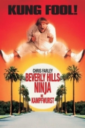 : Beverly Hills Ninja - Die Kampfwurst 1997 German 1080p AC3 microHD x264 - RAIST
