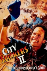 : City Slickers 2 - Die goldenen Jungs 1994 German 1080p AC3 microHD x264 - RAIST