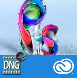 : Adobe DNG Converter v12.3