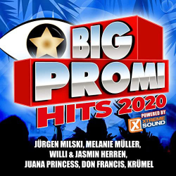 : Big Promi Hits 2020 Powered by Xtreme Sound (2020)