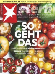 :  Der Stern Nachrichtenmagazin No 35 vom 20 August 2020