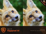 : Topaz Gigapixel AI v5.1.0