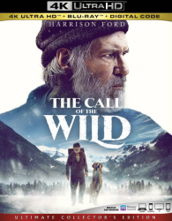 : Ruf der Wildnis 2020 German Ac3 Dl Bdrip x264-Shq