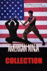 : American Fighter Movie Collection (4 Filme) German AC3 microHD x264 - RAIST