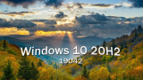 : Microsoft Windows 10 Enterprise 20H2 v2009 Build 19042.487 (x64)