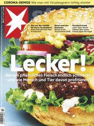 :  Der Stern Nachrichtenmagazin No 37 vom 03 September 2020