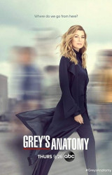 : Greys Anatomy S16E20 German Dubbed Webrip x264-Aida