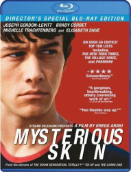 : Mysterious Skin German 2004 Ac3 Bdrip x264 iNternal-SpiCy