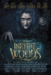 : Into the Woods 2014 German 800p AC3 microHD x264 - RAIST