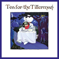 : Yusuf / Cat Stevens - Tea For The Tillerman² (2020)