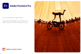 : Adobe Premiere Pro 2020 v14.4.0.38