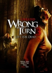 : Wrong Turn 3 - Left for Dead DC 2009 German 1080p AC3 microHD x264 - RAIST